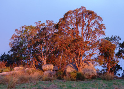 Afternoon light - own work-05757.jpg