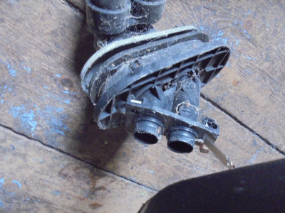DSC00778.JPG