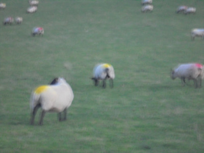 DSC00868.JPG