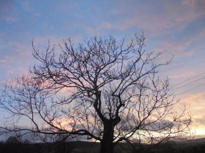 odd sort of light brewed up for a while just before darkness fell and the battery ran out on the camera