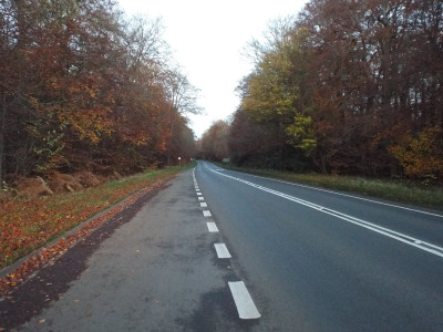 Coppery avenue 1