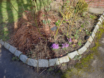 IMG_20220222_114153734_HDR.jpg