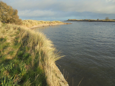 The tide is high...<br />(Blondie)