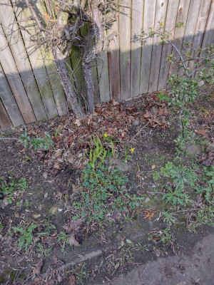 IMG_20220308_143426474_HDR.jpg