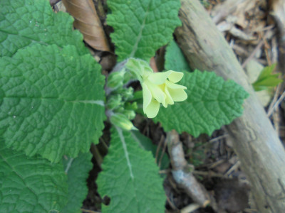 DSC01347.JPG