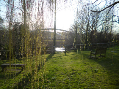 Fancy bridge through the weeping willow