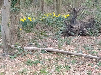 IMG_20220329_094141843.jpg