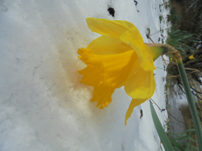 DSC01385.JPG