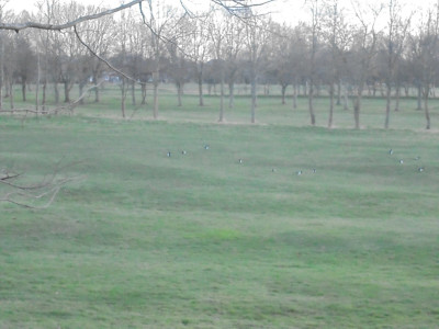 Nf own Work 6th March 2022