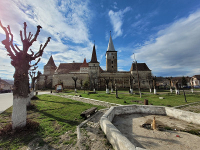 2022-04-09 09.30.15.jpg