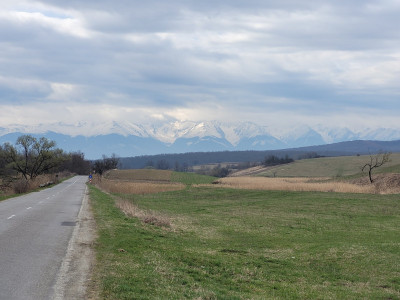 2022-04-09 10.56.05.jpg