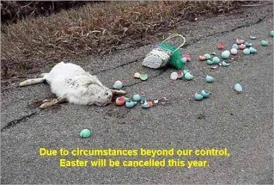 Easter Bunny.jpg