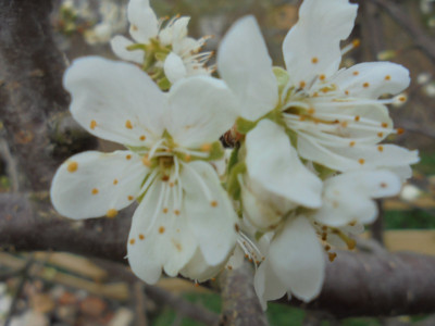 DSC01428.JPG