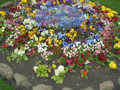 A simple joy at this time of year and hats off to those who take the trouble to create our ville fleuris!