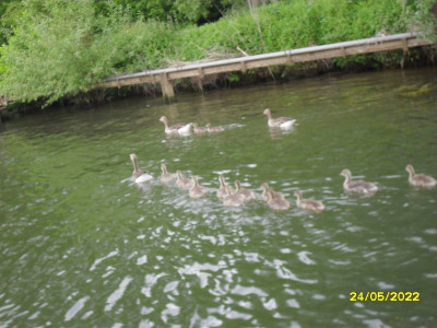 In line Astern