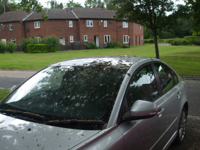 DSCF3552.JPG