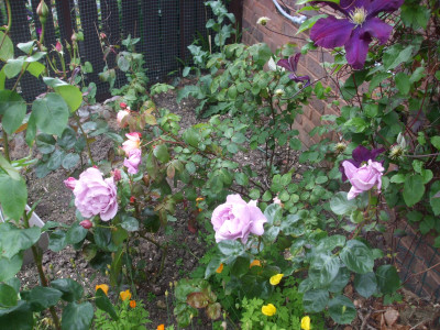 DSCF3550.JPG