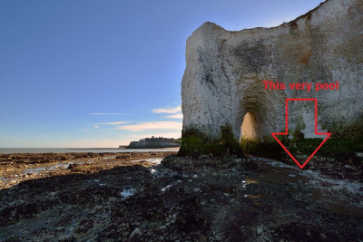 Botany Bay, Broadstairs with Kingsgate Castle in the background.