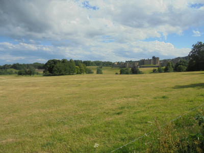 DSC01989.JPG