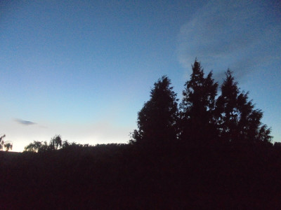 DSC02165.JPG
