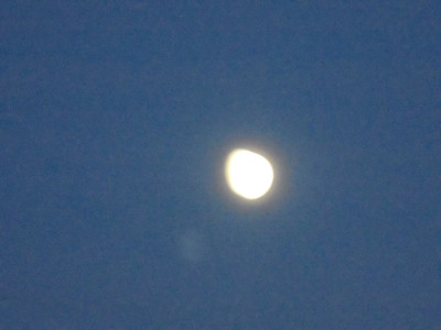 DSC02167.JPG