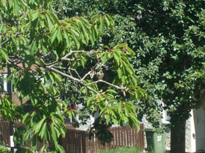 DSCF3607.JPG