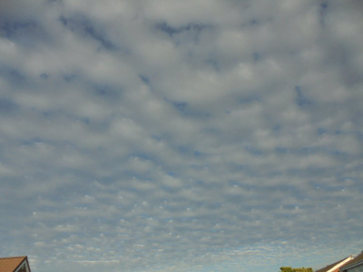 DSC02192.JPG