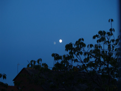AA100895.JPG