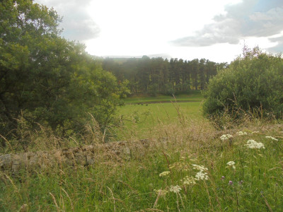 DSC02230.JPG