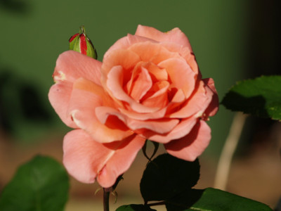AA110900.JPG