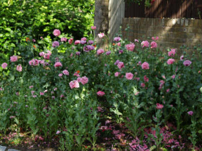 AA110901.JPG
