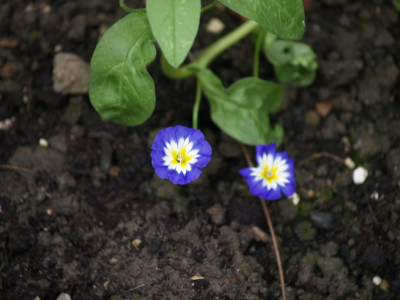 AA110903.JPG