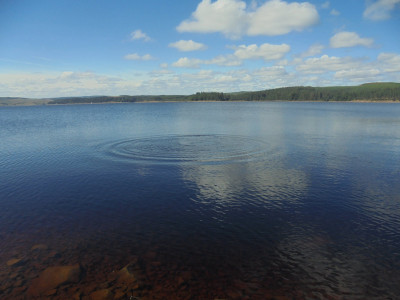 DSC02456.JPG