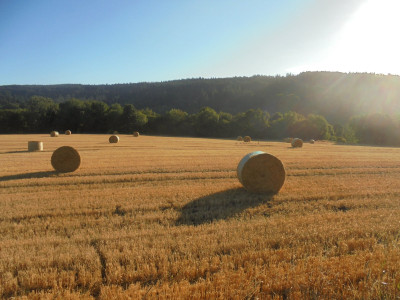 and also for Bales