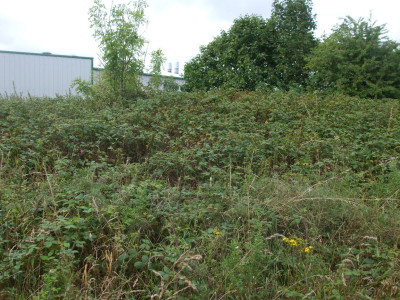 DSCF3704.JPG