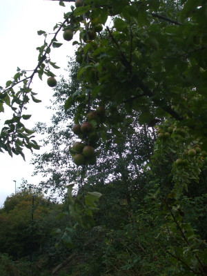 DSCF3708.JPG