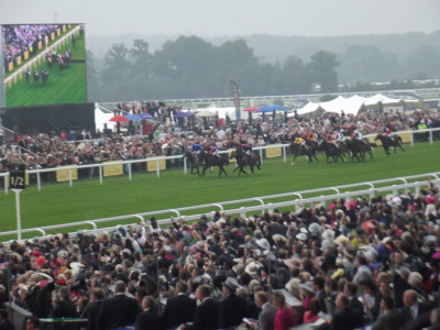 The Queens' horse, Estimate, winning the 2013 Royal Ascot Gold Cup; the first time a British Monarch had won.