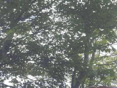 DSC02670.JPG