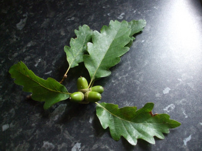 DSCF3733.JPG