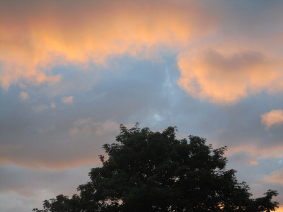DSC02713.JPG