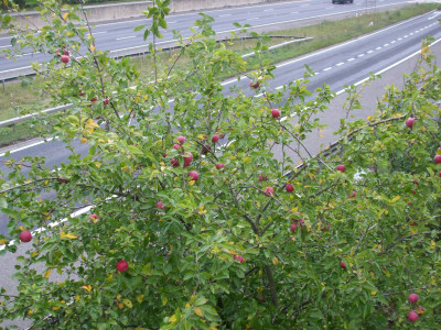 DSCF3738.JPG