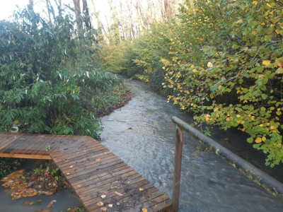 A stream, today. - Own work