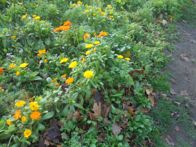 DSC03020.JPG