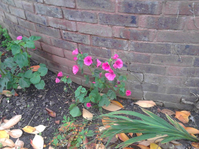 IMG_20221110_121225.jpg