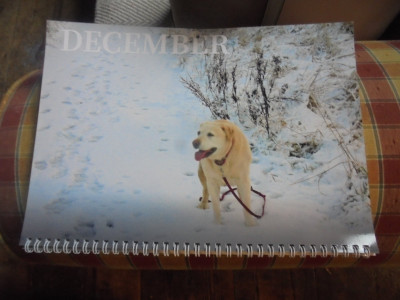 DSC03219.JPG