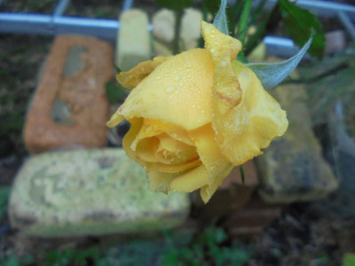 DSC03222.JPG