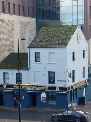How did it survive?<br />The Famous Strawberry<br />From St James Park