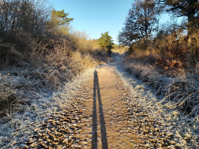 20221210_090103.jpg