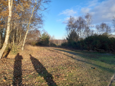 Stedham Common shadows - own work