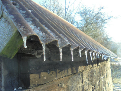 little ones on the corrugated iron roof of the Bob Ross Cabin
